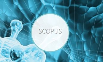 Aprende a buscar información científica y métricas en Scopus