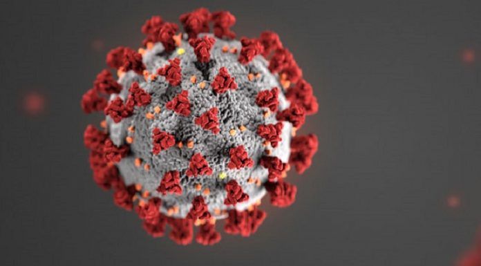 Libre acceso a la información sobre el coronavirus (COVID-19)