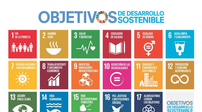 Los Objetivos de Desarrollo Sostenible (ODS) en Scopus