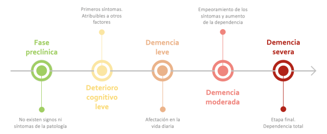 La demencia tiene 5 etapas diferentes: la fase presintomática, el deterioro cognitivo leve, la demencia leve, la demencia moderad y la demencia severa