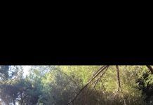 Excursión al Parque de l’Eixereta de Burjassot