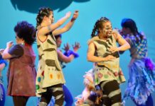 Día Internacional de las personas con Discapacidad o Diversidad Funcional