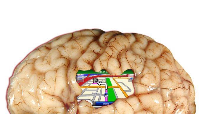 Premio Nobel de Medicina 2014