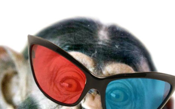 ¿Por qué no puedo ver películas en 3D?
