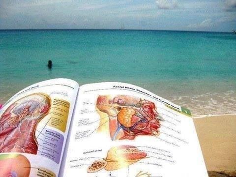 Consejos que un estudiante de medicina debería conocer para evitar los riesgos del verano