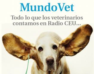Mundovet, lo que los veterinarios cuentan...