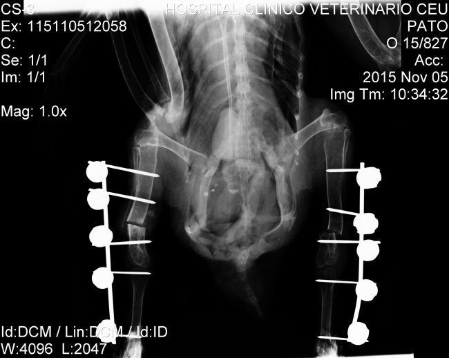 radiografias post-cirugía