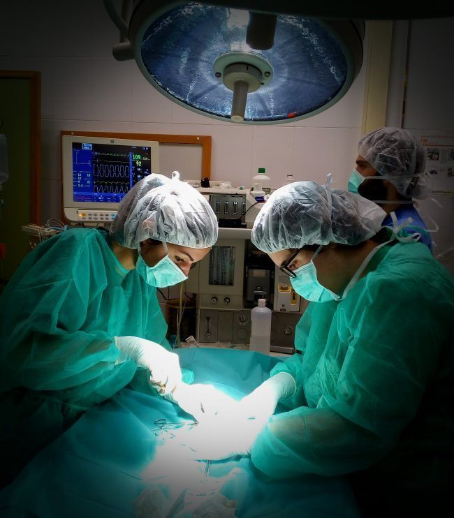 Cirugía castración