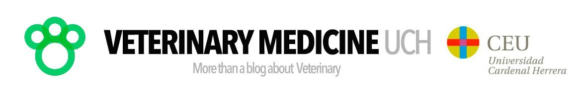 Más que un blog sobre Veterinaria