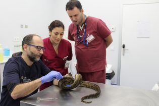 Reopening of the CEU Clinical Veterinary Hospital