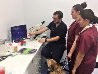 Reopening of the CEU Clinical Veterinary Hospital